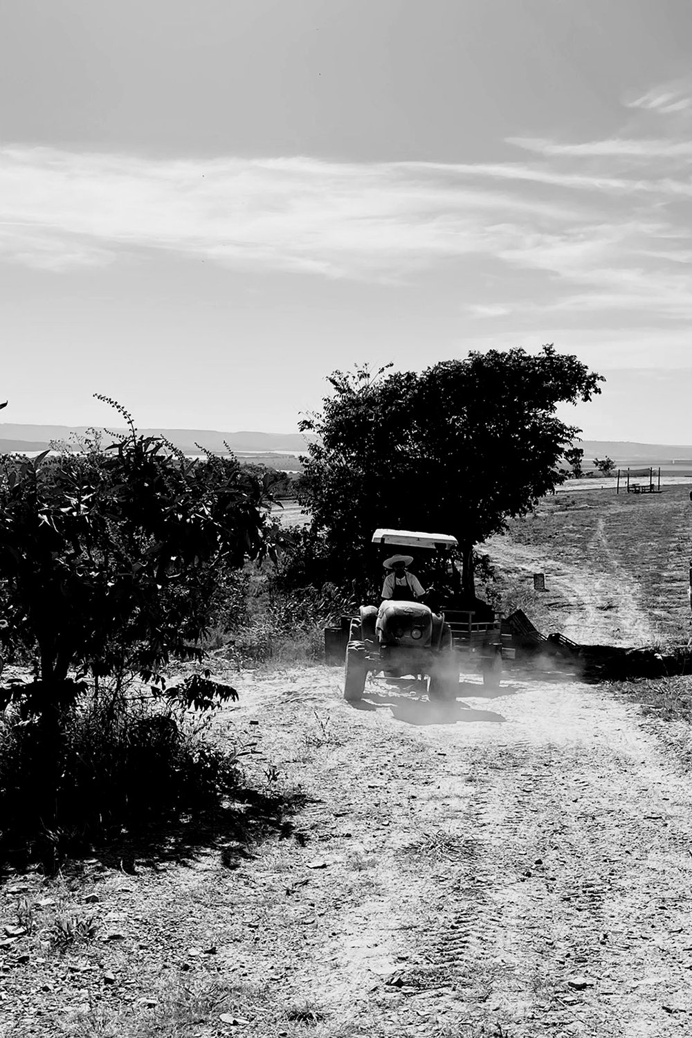 Cópia de PHOTO-2022-07-28-20-31-53